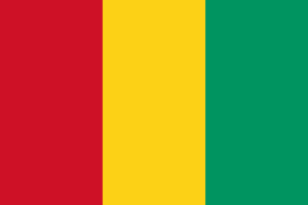 Flag_of_Guinea.svg_.webp.webp