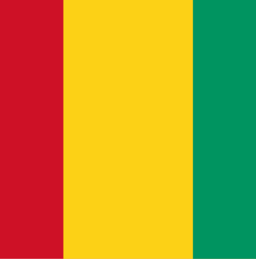 Flag_of_Guinea.svg_.webp.webp